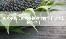 邮政手机（邮政手机银行两个卡如何去掉一个）