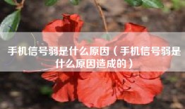 手机信号弱是什么原因（手机信号弱是什么原因造成的）