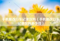 手机能改行车记录仪吗（手机能改行车记录仪吗多少钱）