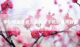 手机键盘声音怎么关（手机键盘声音怎么关闭vivo）