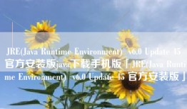 JRE(Java Runtime Environment)  v6.0 Update 45 官方安装版java下载手机版「JRE(Java Runtime Environment)  v6.0 Update 45 官方安装版」