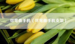 可弯曲手机（可弯曲手机支架）