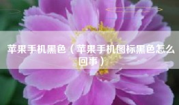 苹果手机黑色（苹果手机图标黑色怎么回事）