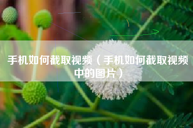 手机如何截取视频（手机如何截取视频中的图片）