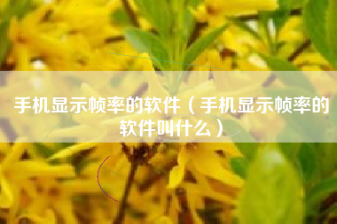 手机显示帧率的软件（手机显示帧率的软件叫什么）