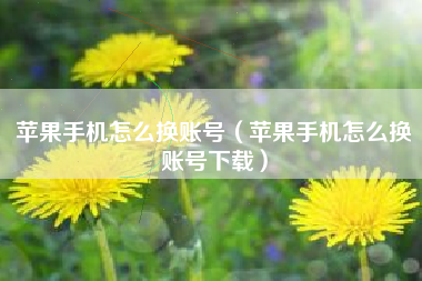 苹果手机怎么换账号（苹果手机怎么换账号下载）