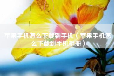 苹果手机怎么下载到手机（苹果手机怎么下载到手机相册）